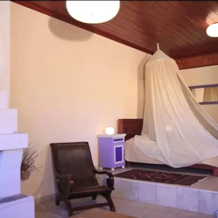 Palia Damouhari داموشاري